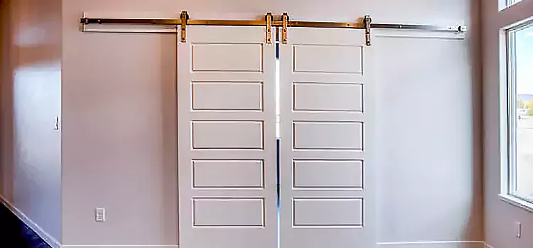 Glass Barn Door with Installation Hardware Kit Moorpark